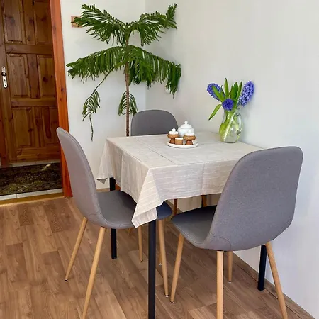 Anicka Bed & Breakfast Tynec nad Sazavou
