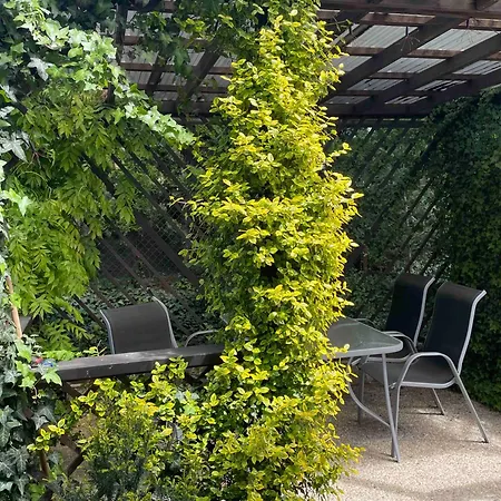 Bed & Breakfast Anicka Tynec nad Sazavou