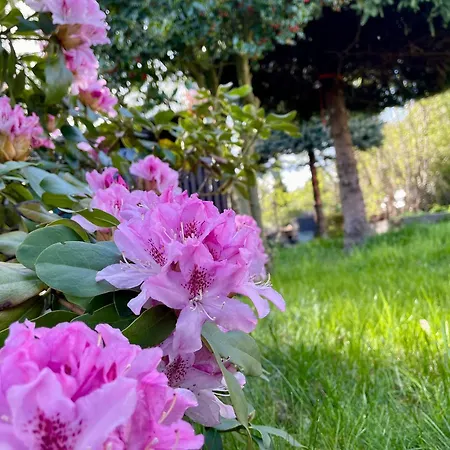 Bed & Breakfast Anicka Tynec nad Sazavou